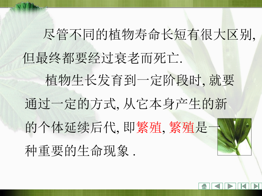 植物学课件：第四章 被子植物生殖器官的形态、结构和功能_第3页