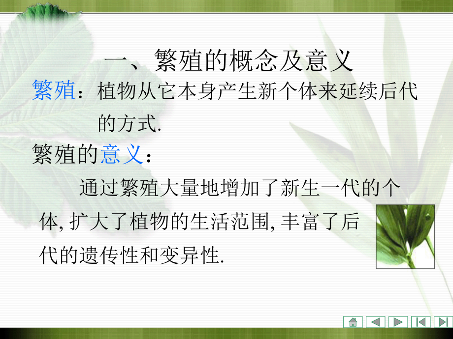 植物学课件：第四章 被子植物生殖器官的形态、结构和功能_第4页