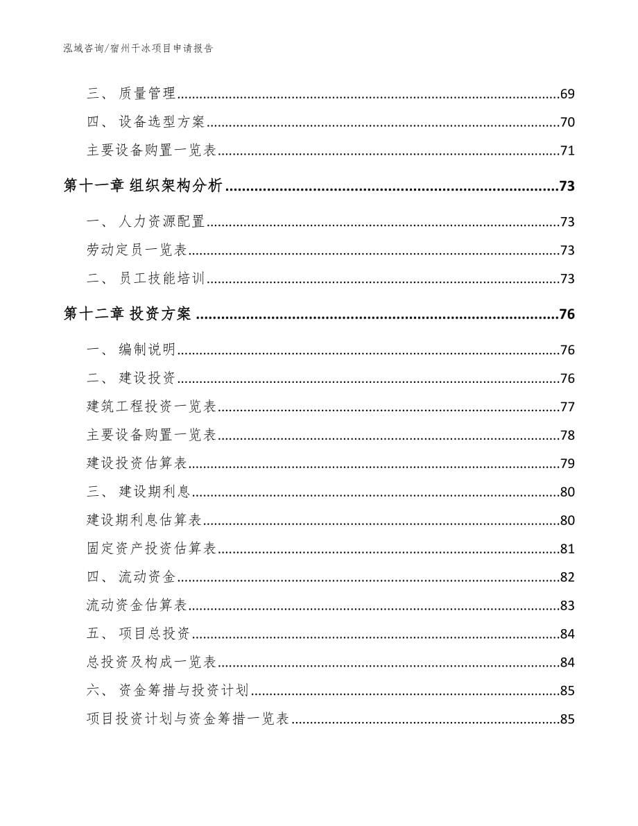 宿州干冰项目申请报告模板范文_第5页