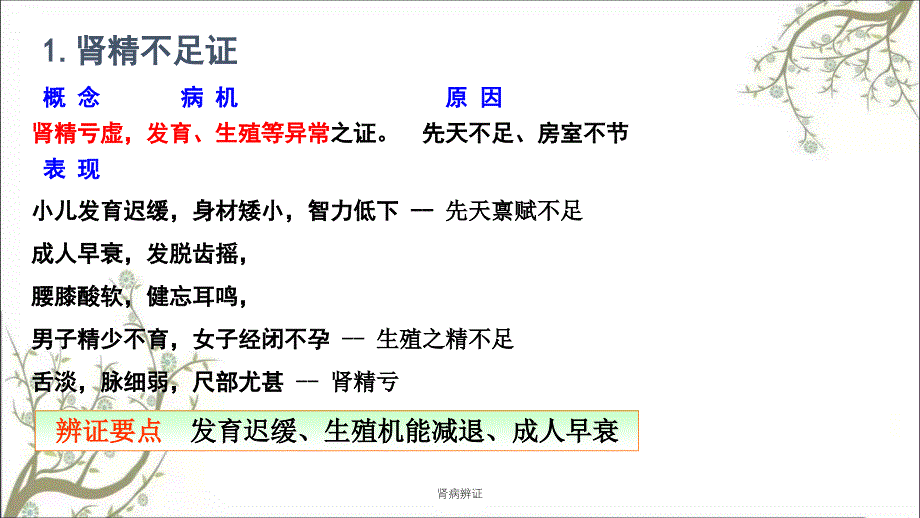 肾病辨证课件_第2页