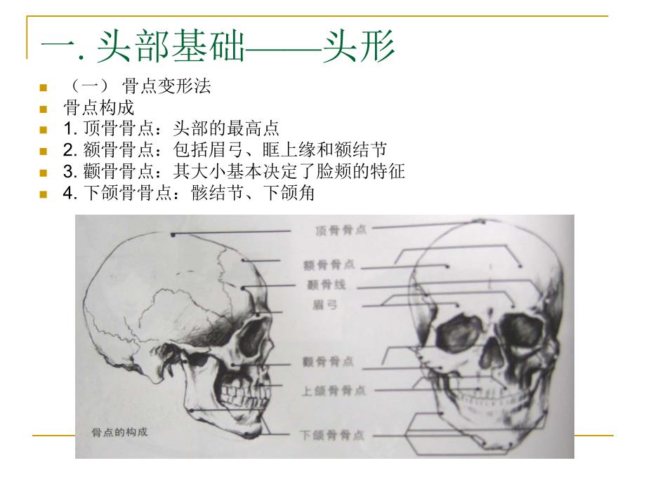 动画造型设计动画t头部造型设计_第3页