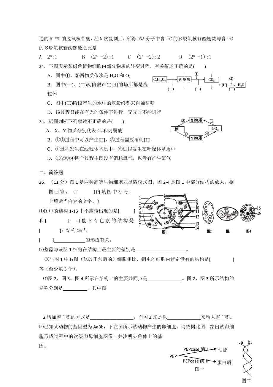 湖南邵阳县石齐学校2011届高三生物第三次月考新人教版（复习班）_第5页