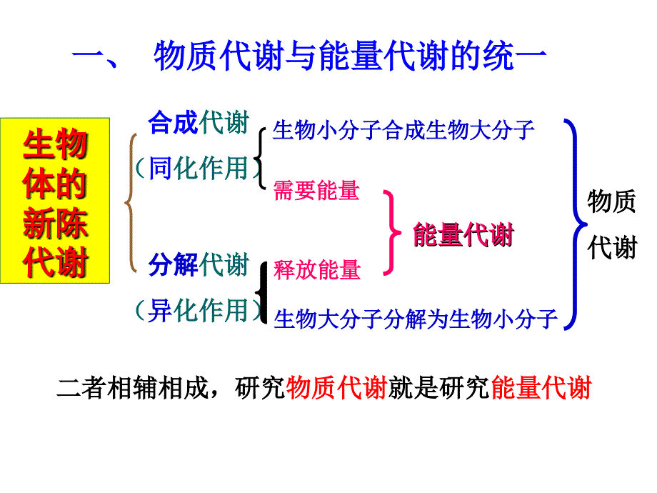 第五章生物氧化1_第3页