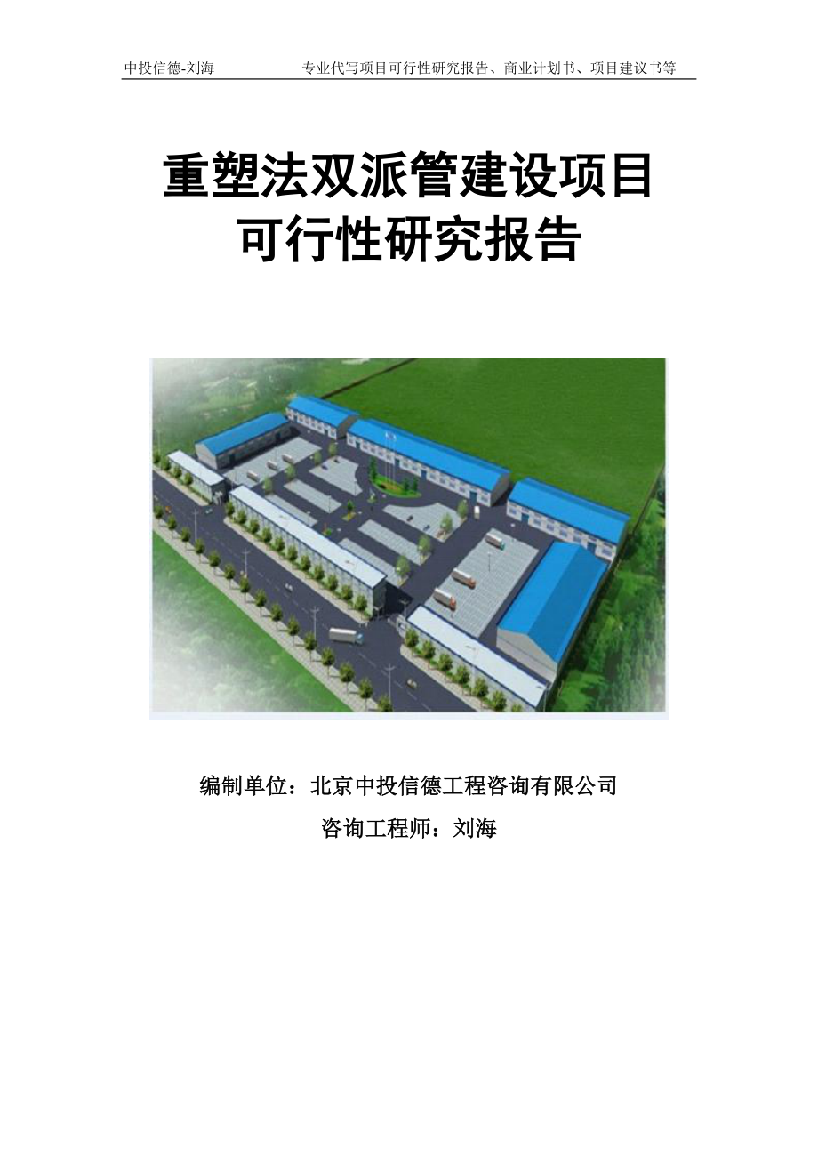 重塑法双派管建设项目可行性研究报告模板立项审批_第1页