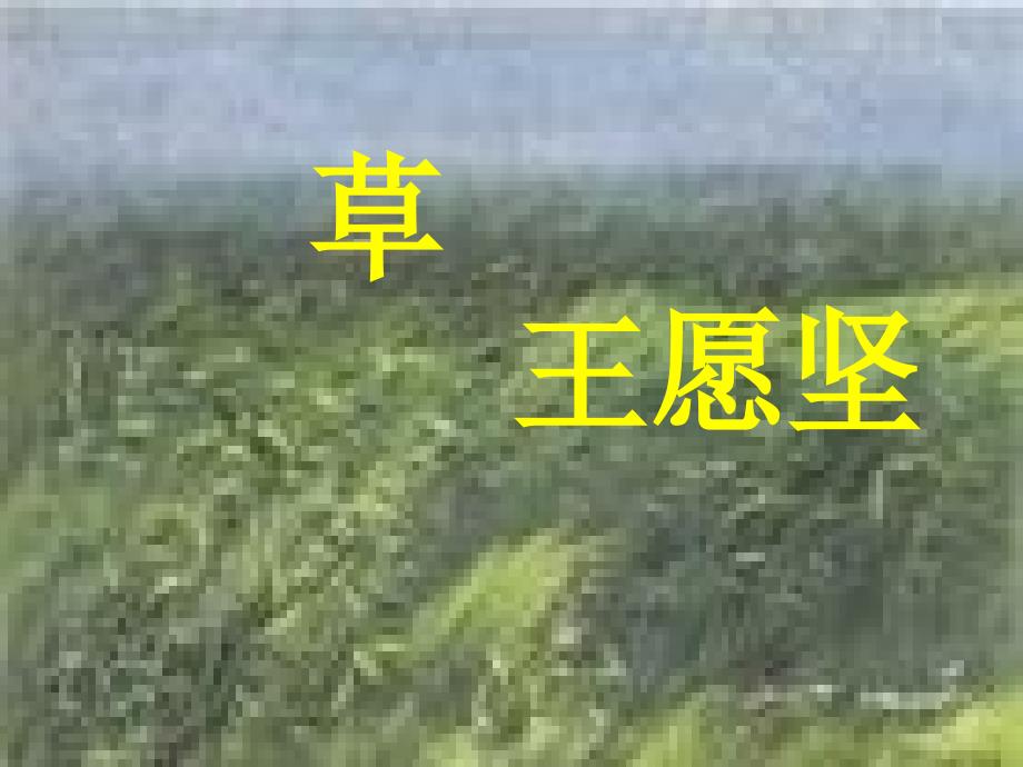 《草》课件1_第1页