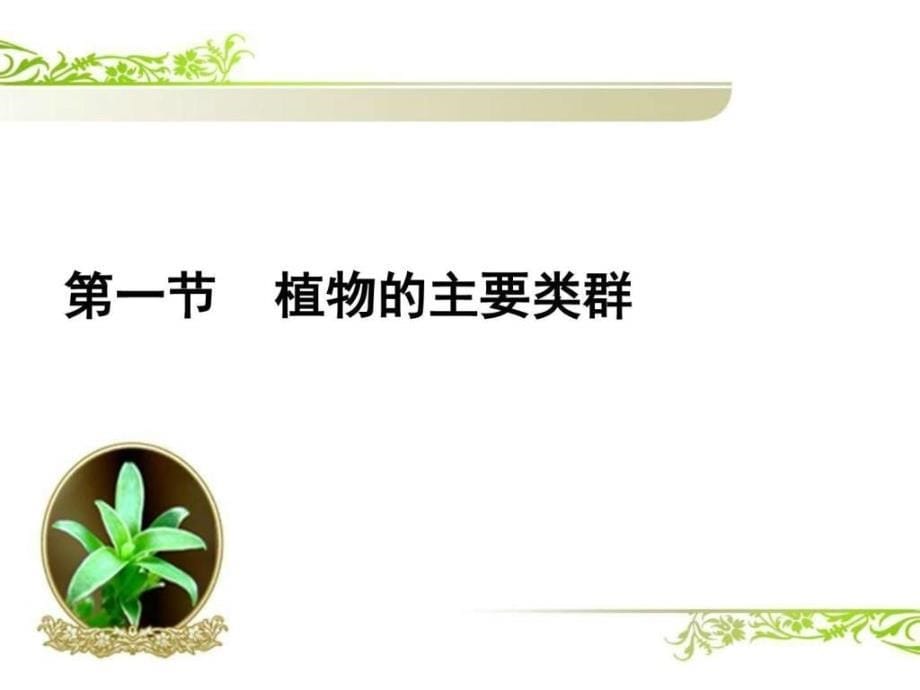 1.1植物的主要类群图文.ppt_第5页