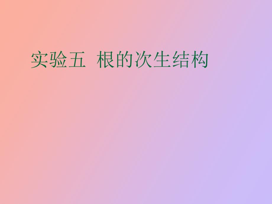 根的次生结构_第1页