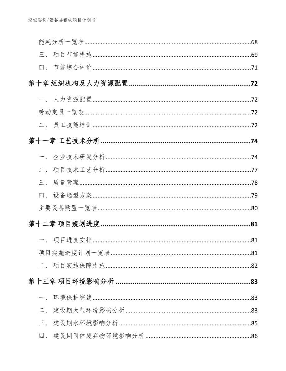 景谷县钢铁项目计划书_第5页