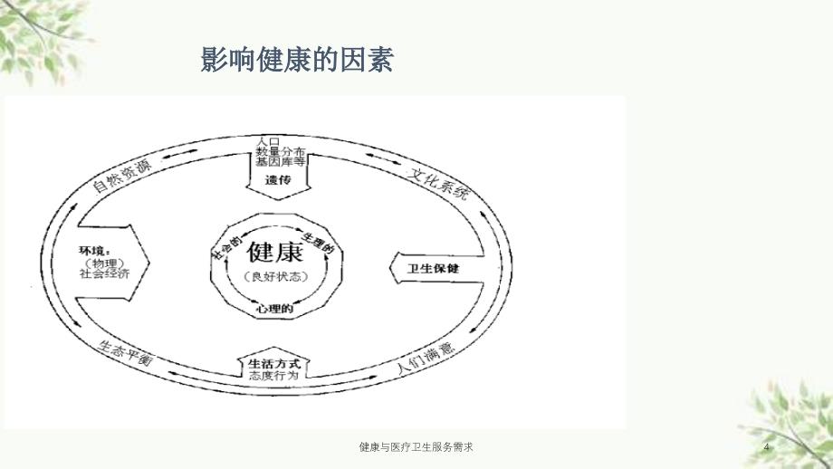 健康与医疗卫生服务需求课件_第4页