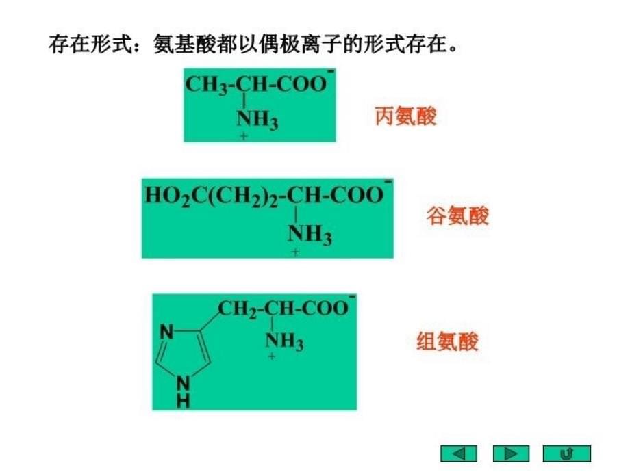 最新北京大学有机化学22PPT课件_第5页