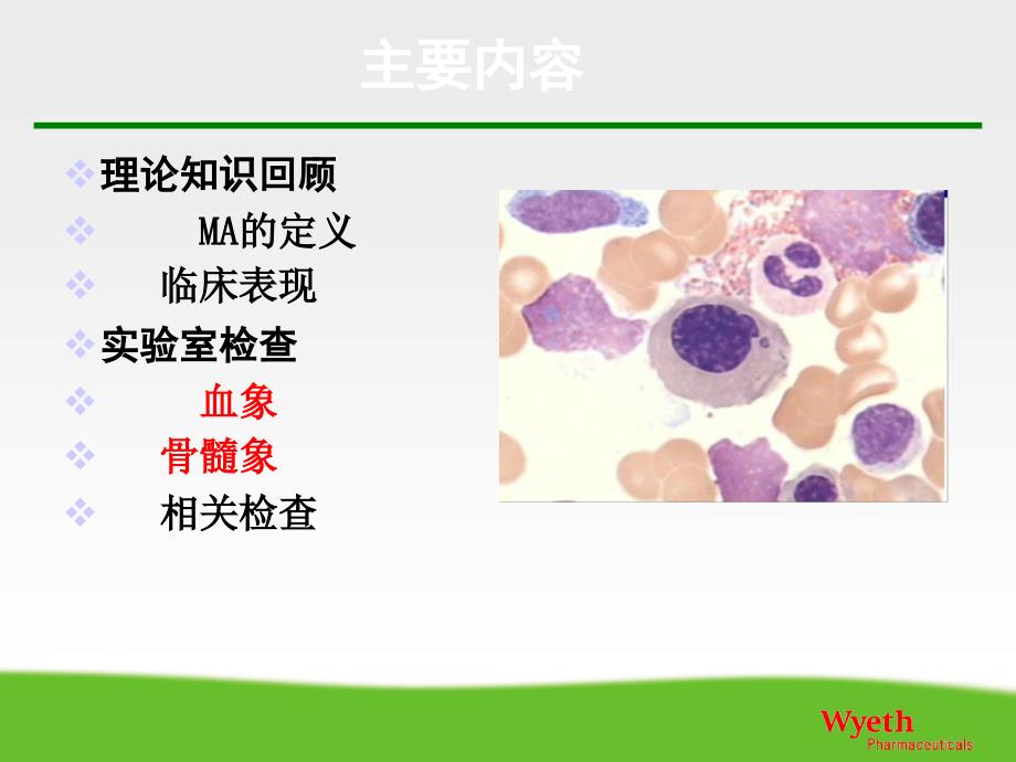 血液学检验巨幼细胞性贫血PPT课件_第3页