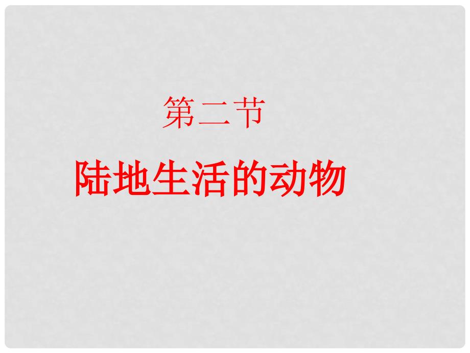 湖南省宁乡县青山桥镇青山桥初级中学八年级生物上册《陆地生活的动物》课件2 新人教版_第1页