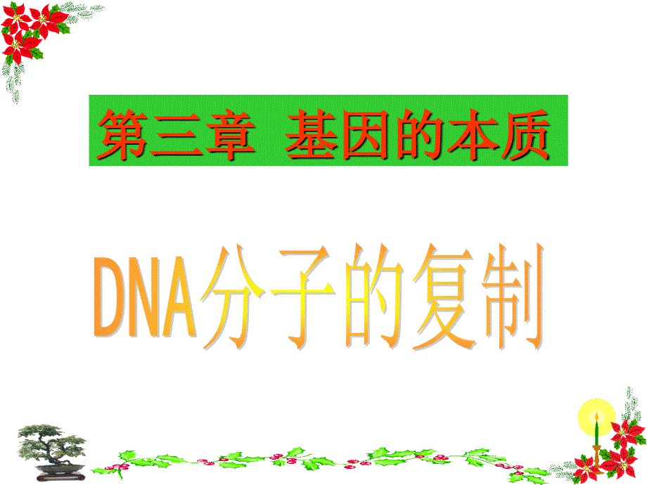 DNA分子的复制_第2页