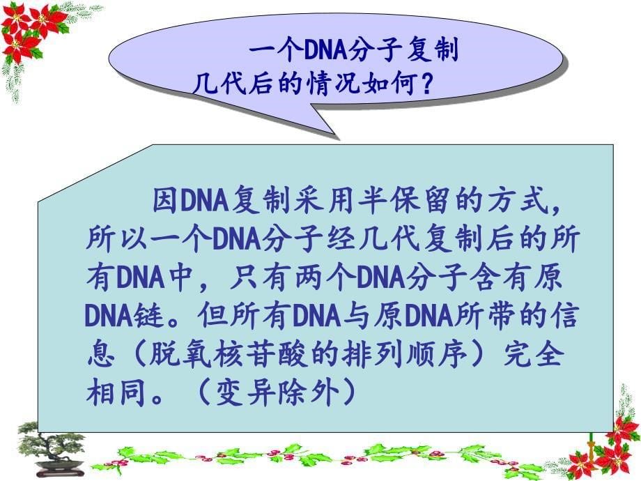 DNA分子的复制_第5页