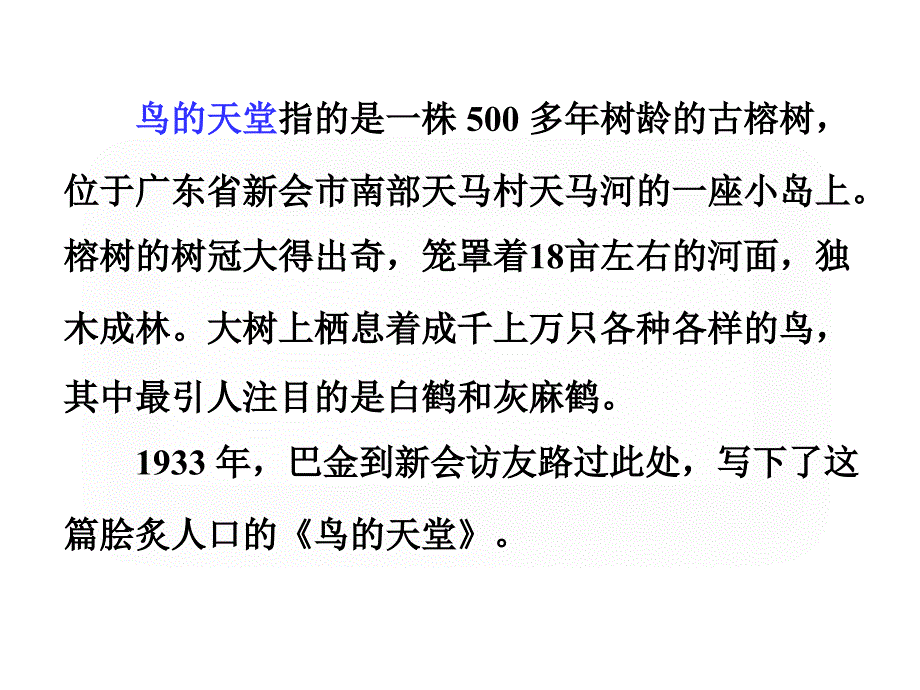 人教版四年级语文上册鸟的天堂PPT课件(改过)_第4页