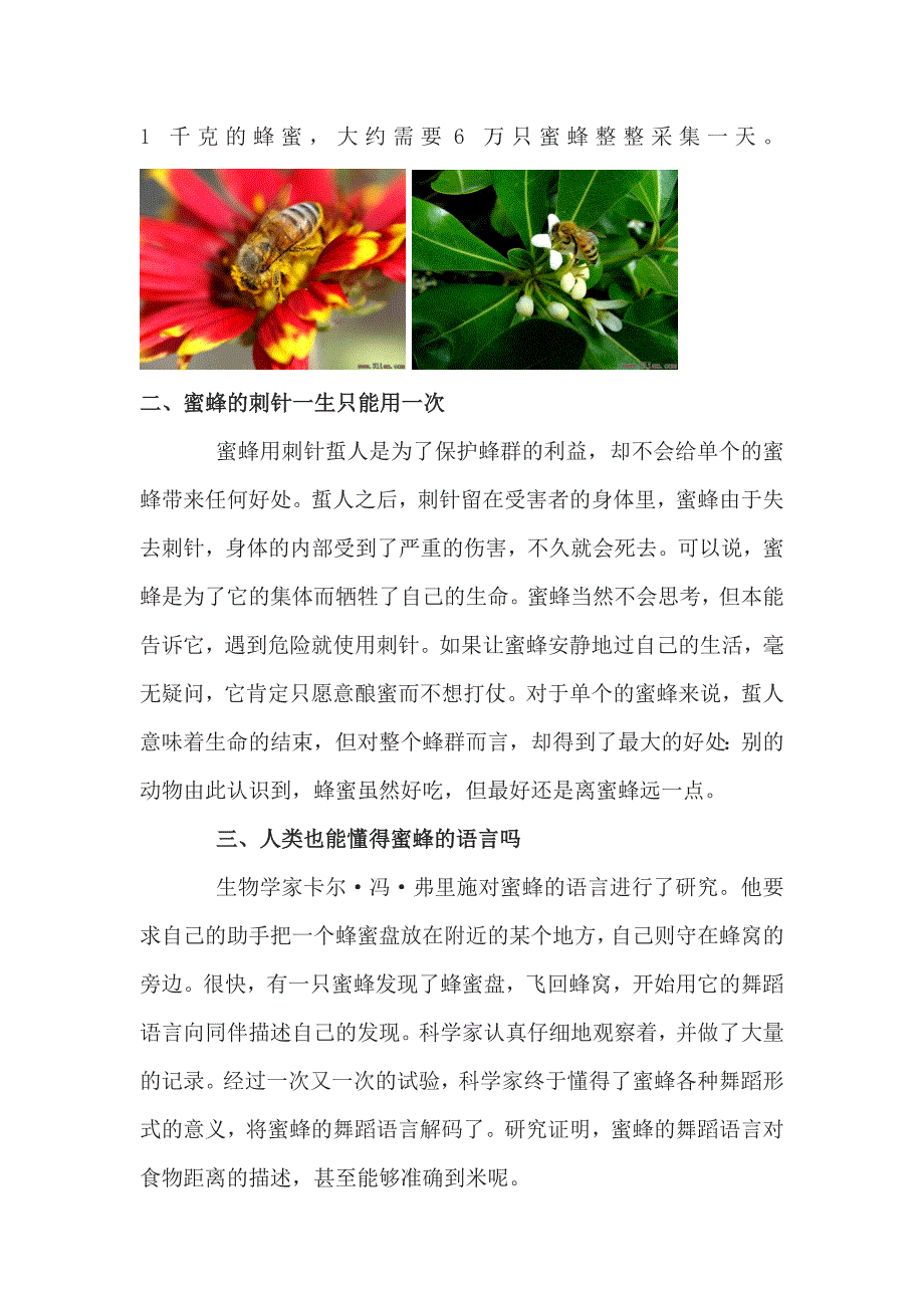 蜜蜂的小知识_第3页