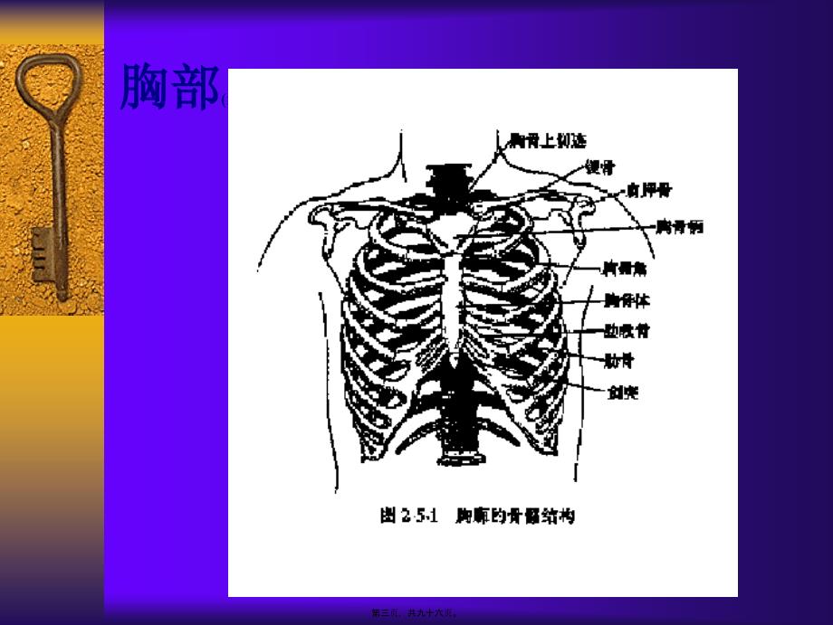 医学专题—胸肺检查讲稿硕_第3页