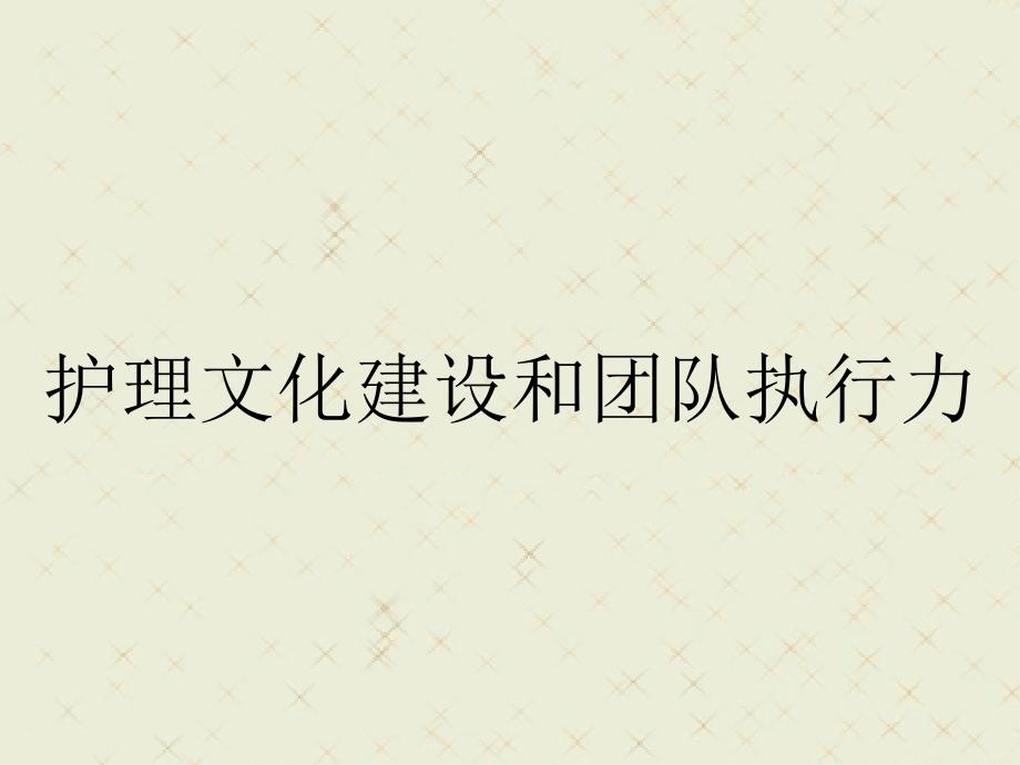 护理文化建设和团队执行力_第1页