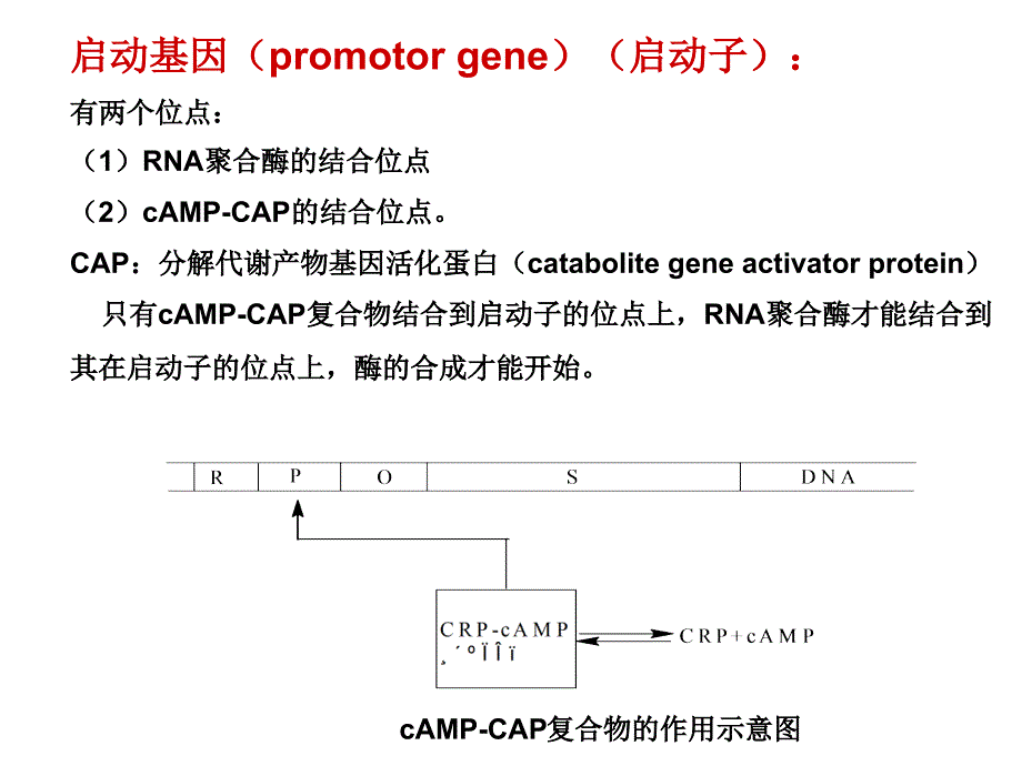 0428第7次3章1_第4页