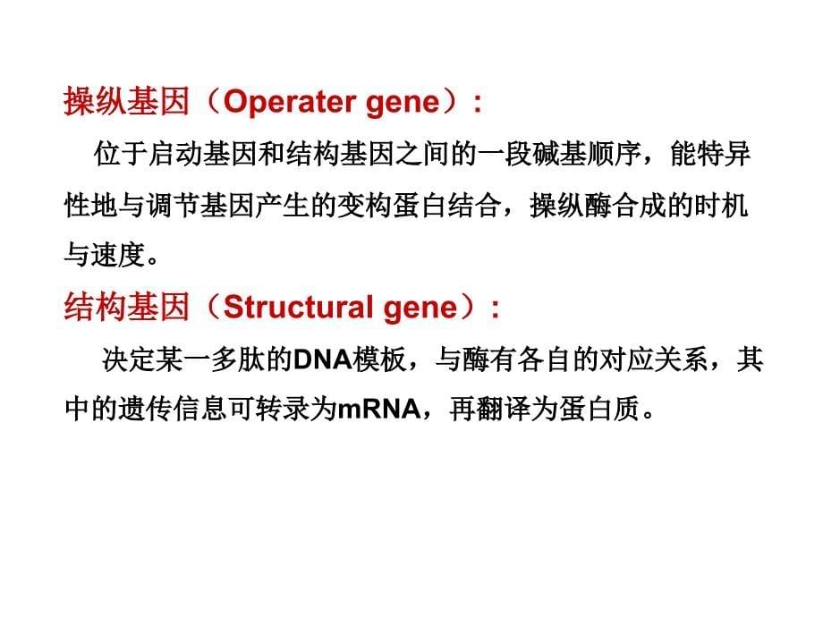 0428第7次3章1_第5页