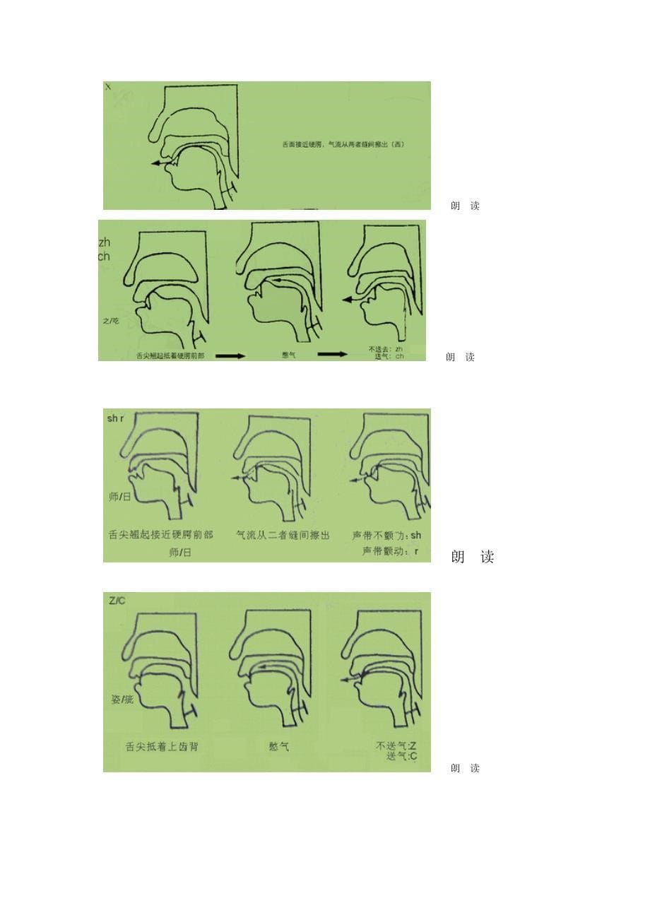 普通话拼音字母发音部位发音规律及发音方法_第5页