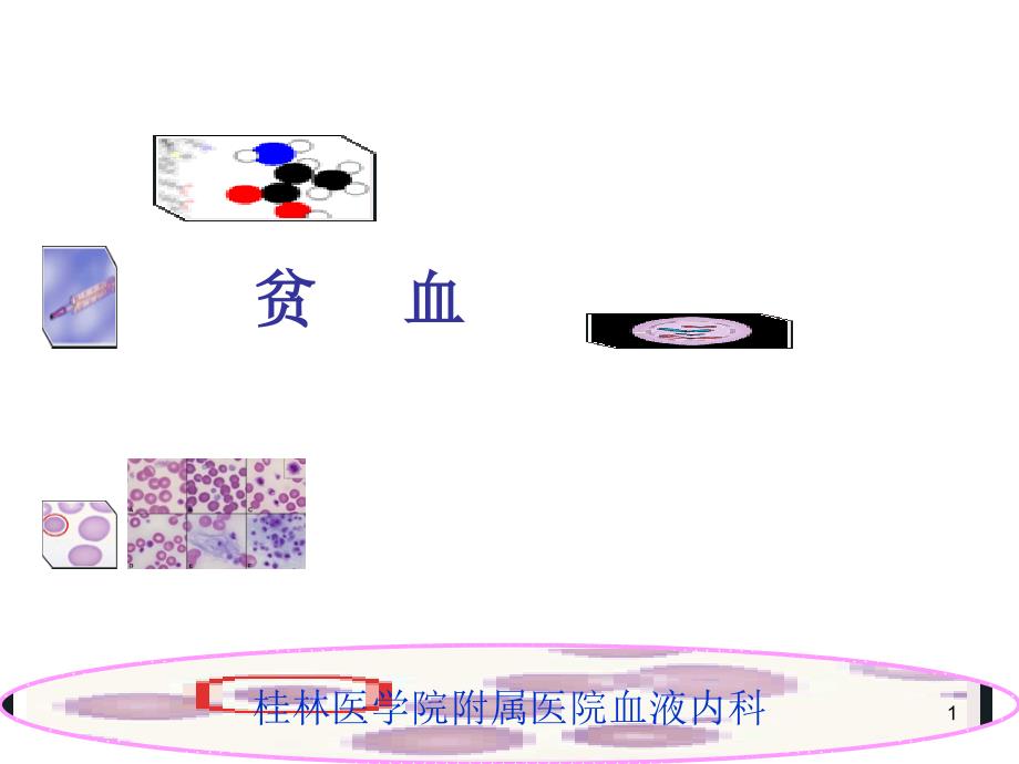 贫血及缺铁性贫血PPT课件1_第1页