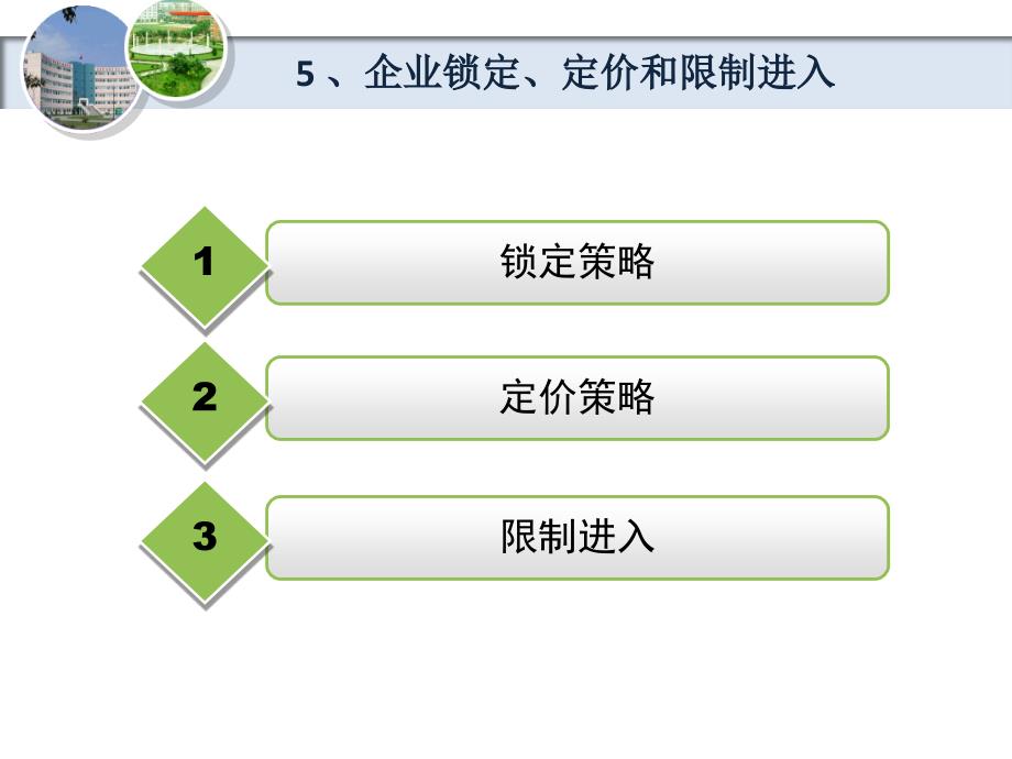 企业锁定、定价和限制进入_第2页