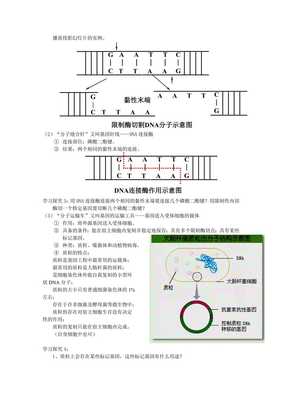 高中生物选修3教案_第4页