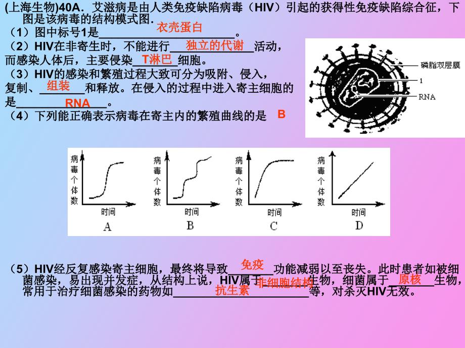 考前最后两讲_第2页