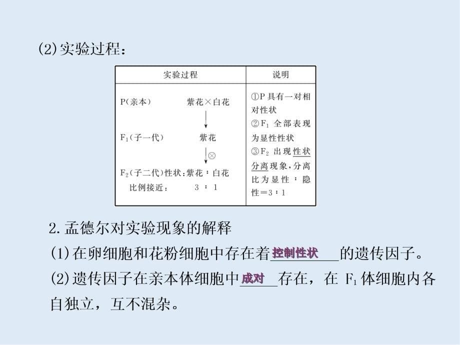 高一生物苏教版必修二课件：第三章 第一节 基因的分离定律_第5页