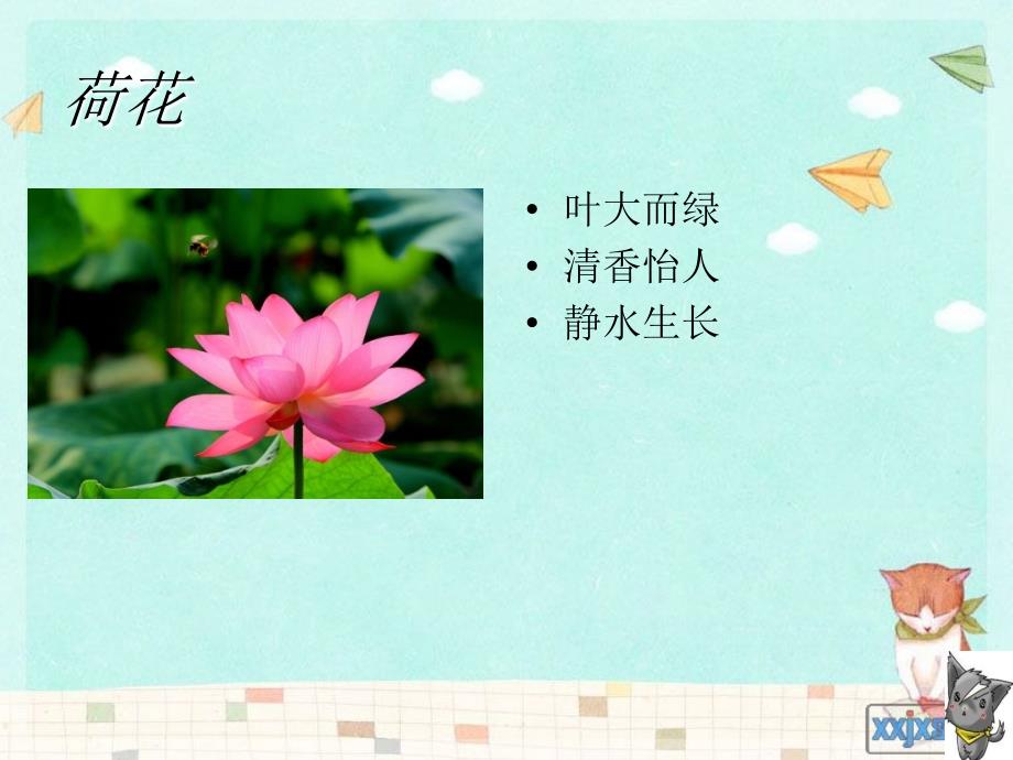 古诗二首-梅花-北京版.ppt_第3页