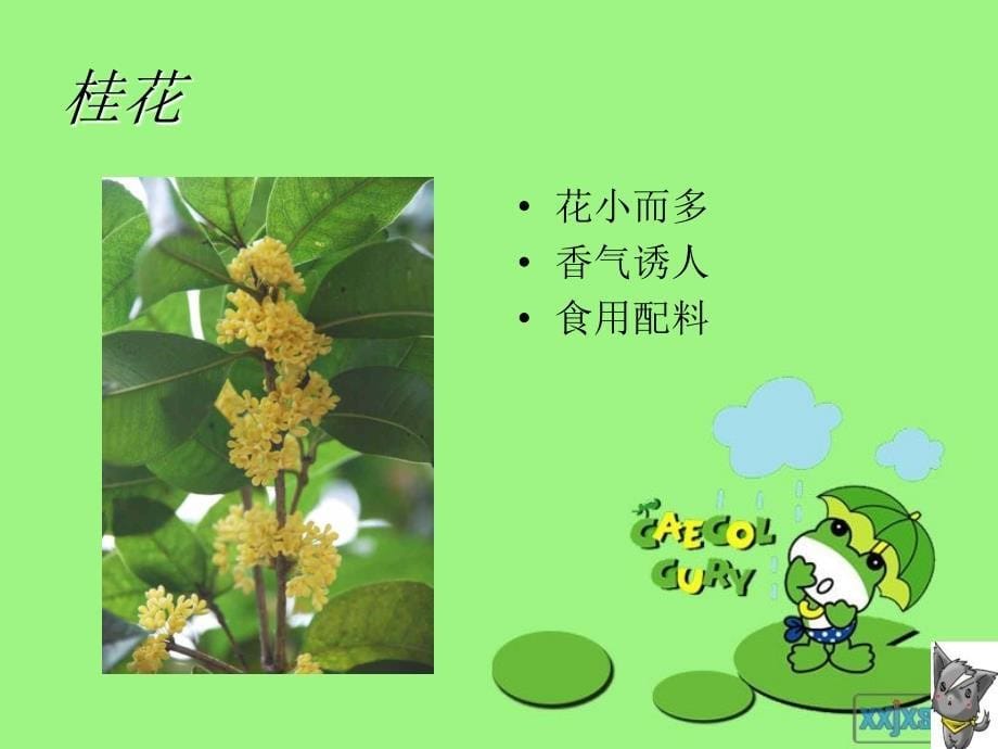 古诗二首-梅花-北京版.ppt_第5页