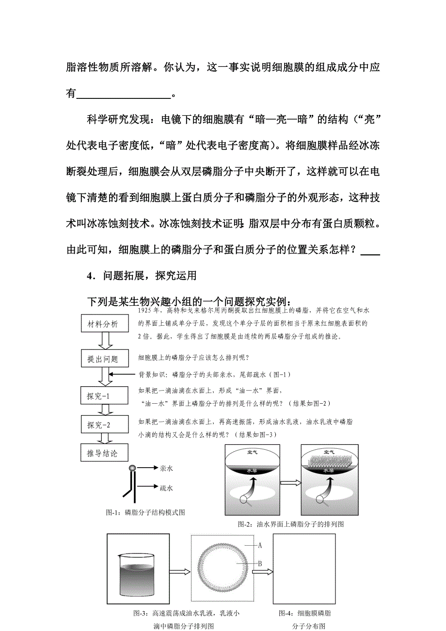 细胞膜的成分和分子结构模型中养成探究能力的实例_第2页