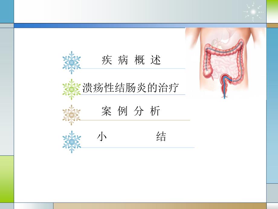 溃疡性结炎的合理用药PPT_第2页