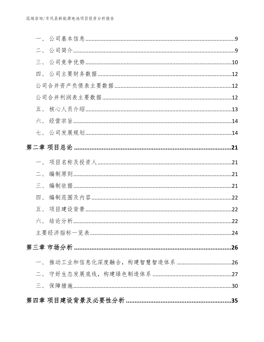 岑巩县新能源电池项目投资分析报告_模板范本_第3页