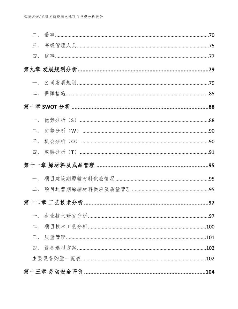 岑巩县新能源电池项目投资分析报告_模板范本_第5页