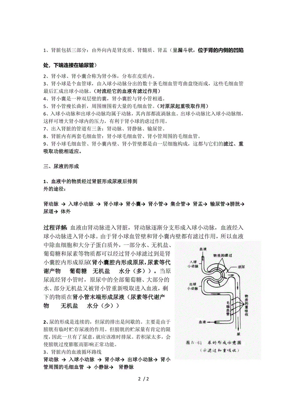 肾脏知识点总结_第2页