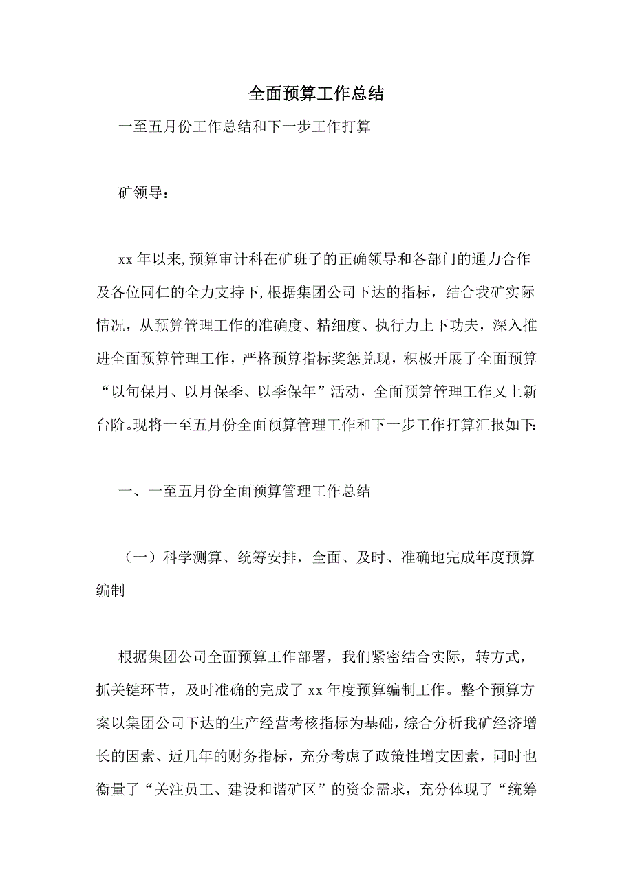 全面预算工作总结_第1页