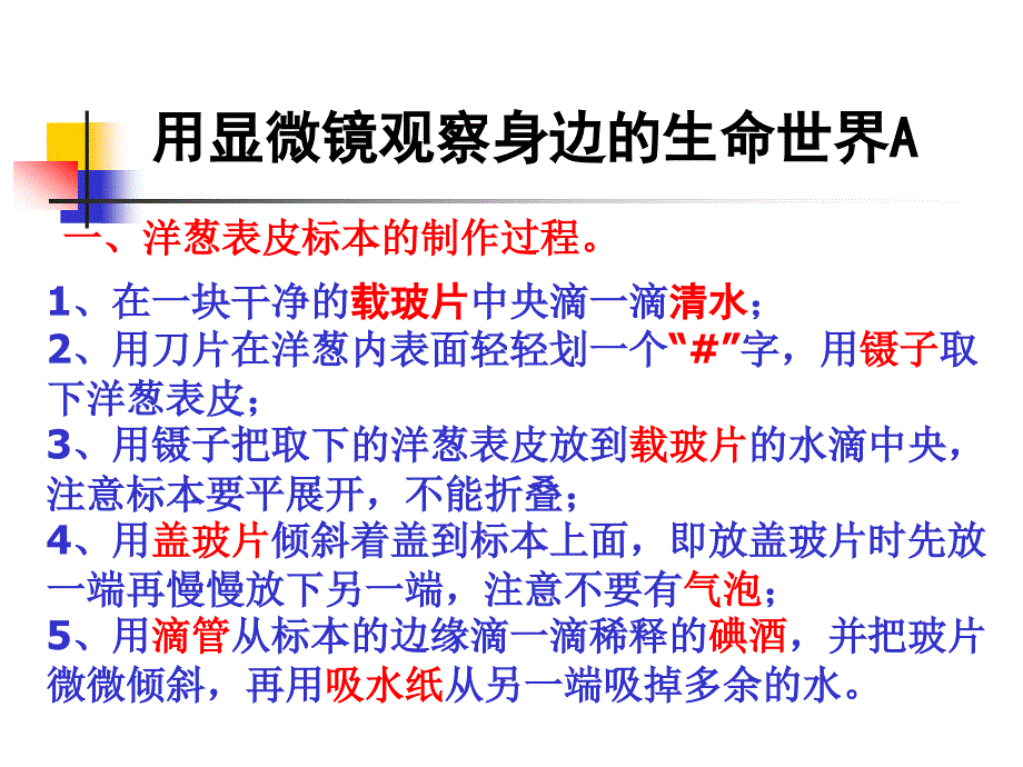 用显微镜观察身边的生命世界_第2页