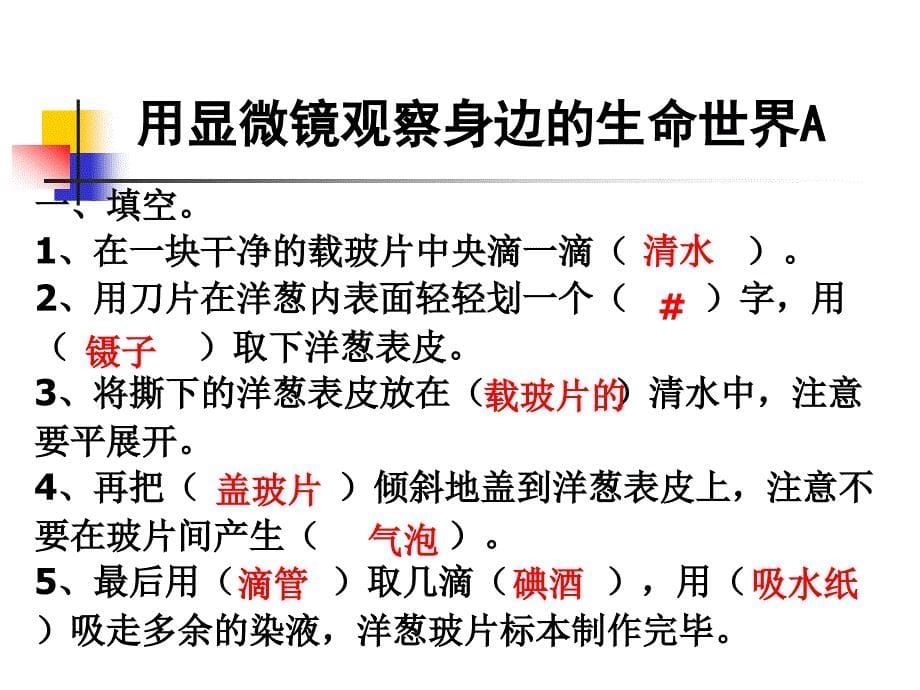 用显微镜观察身边的生命世界_第5页