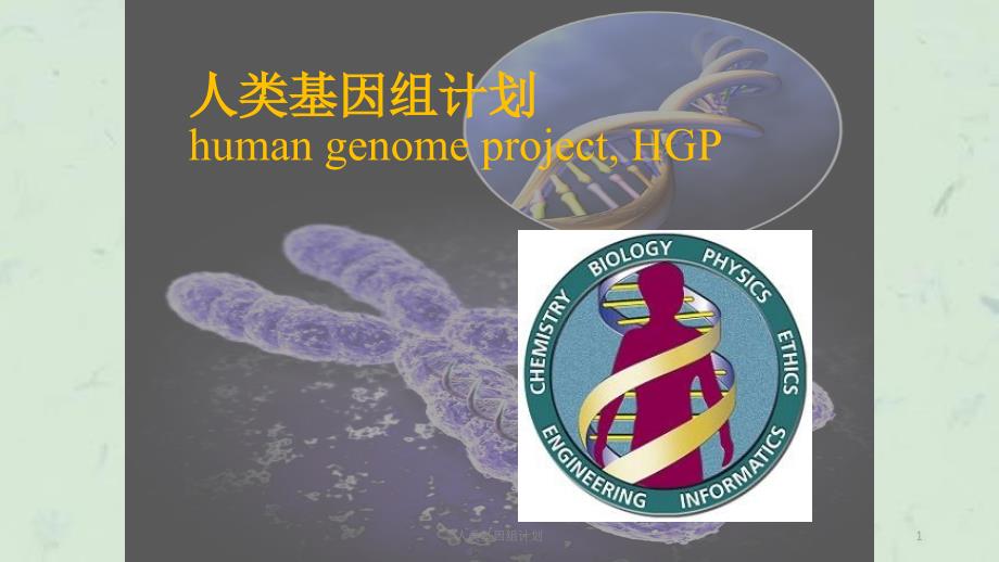 人类基因组计划课件_第1页