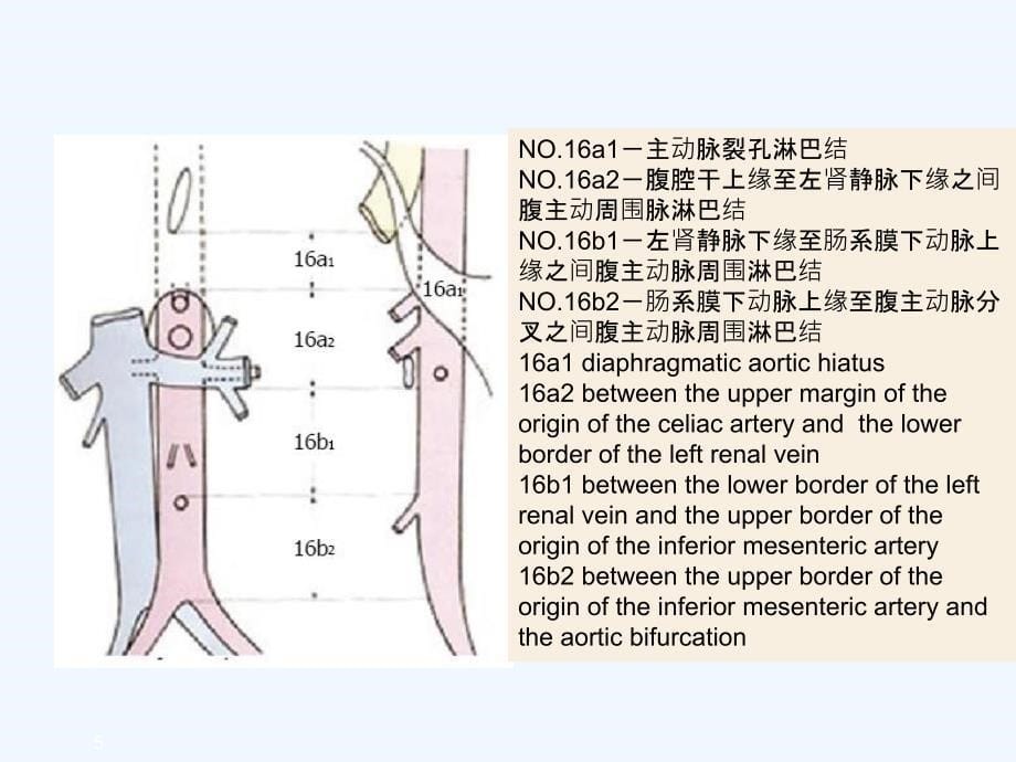 胃癌淋巴结转移CT阅片及相关知识点陈开波PP课件_第5页