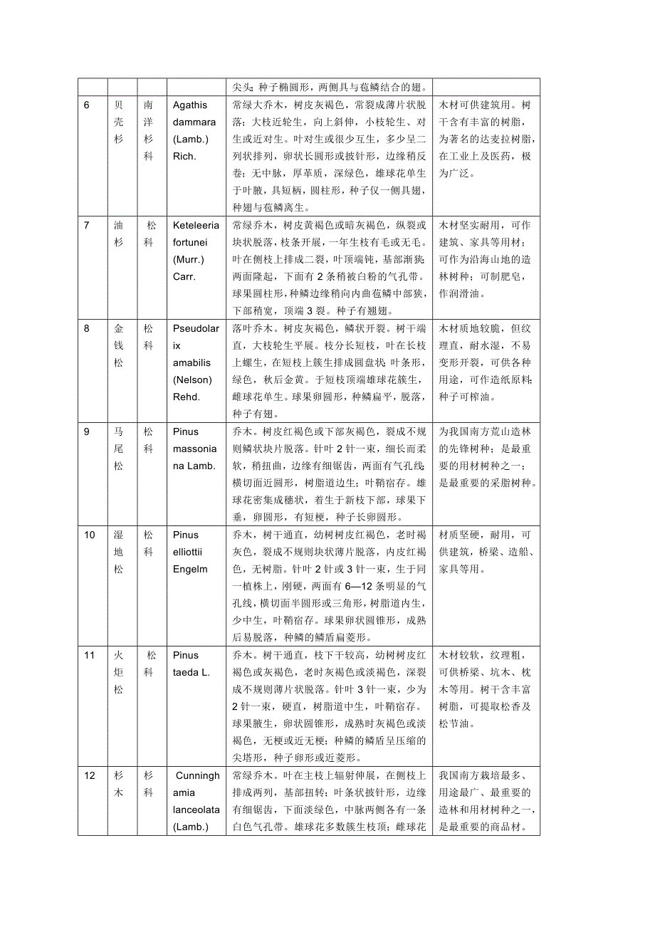 树木学实习报告_第4页