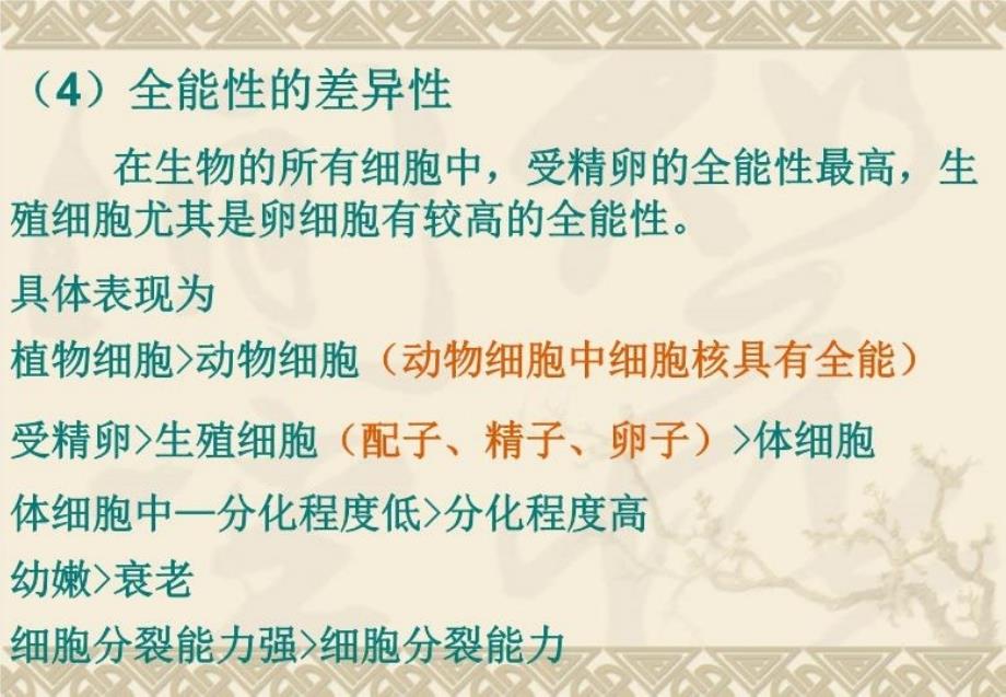 细胞工程课件演示教学_第4页