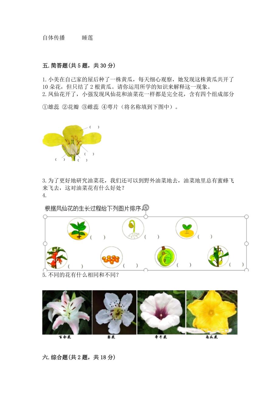 教科版科学四年级下册第一单元-植物的生长变化-测试卷【预热题】.docx_第3页