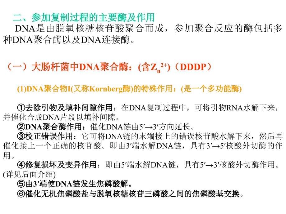 本章主要讨论DNA的生物合成即DNA的半保留复制RNA_第5页