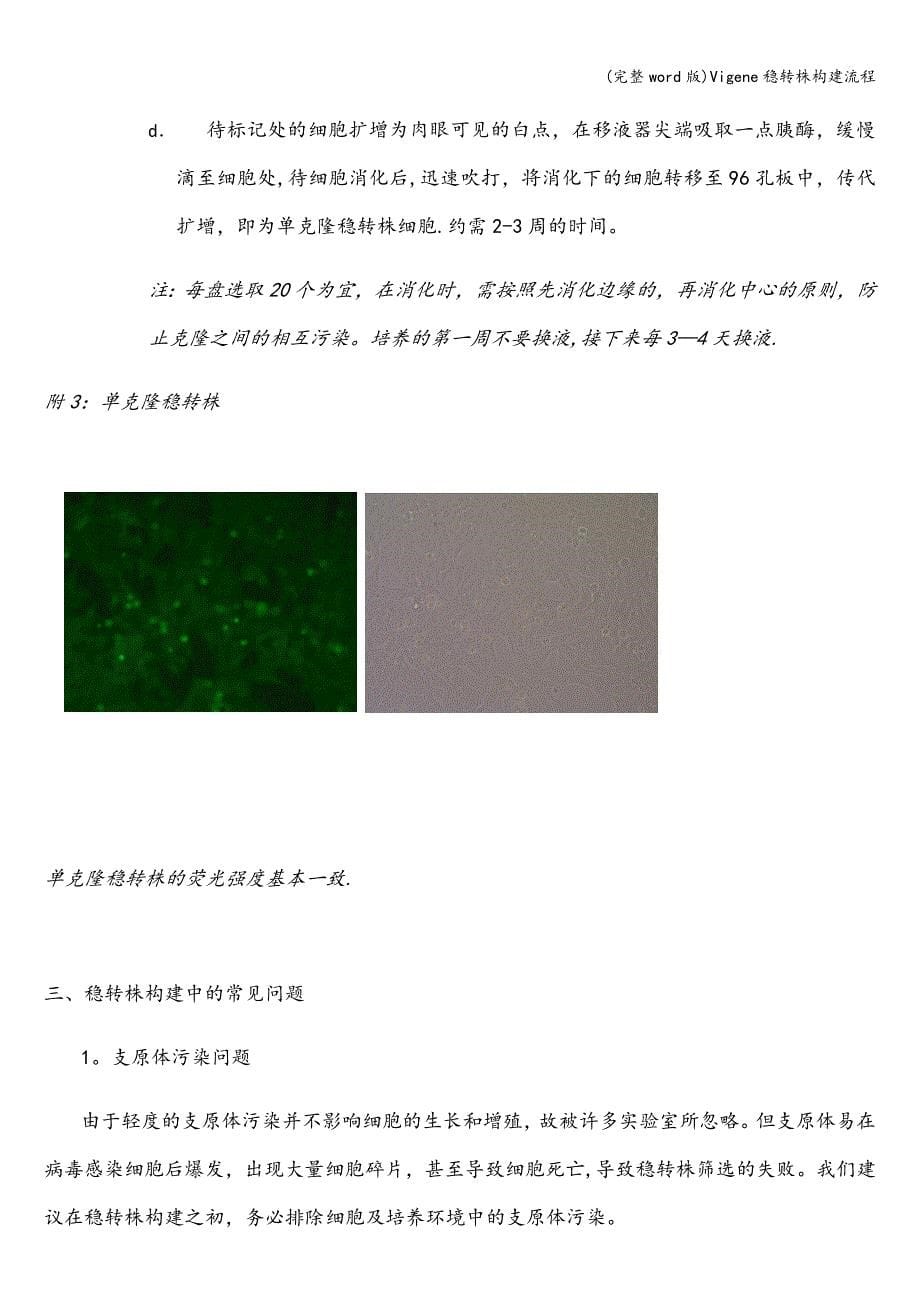 (完整word版)Vigene稳转株构建流程.doc_第5页