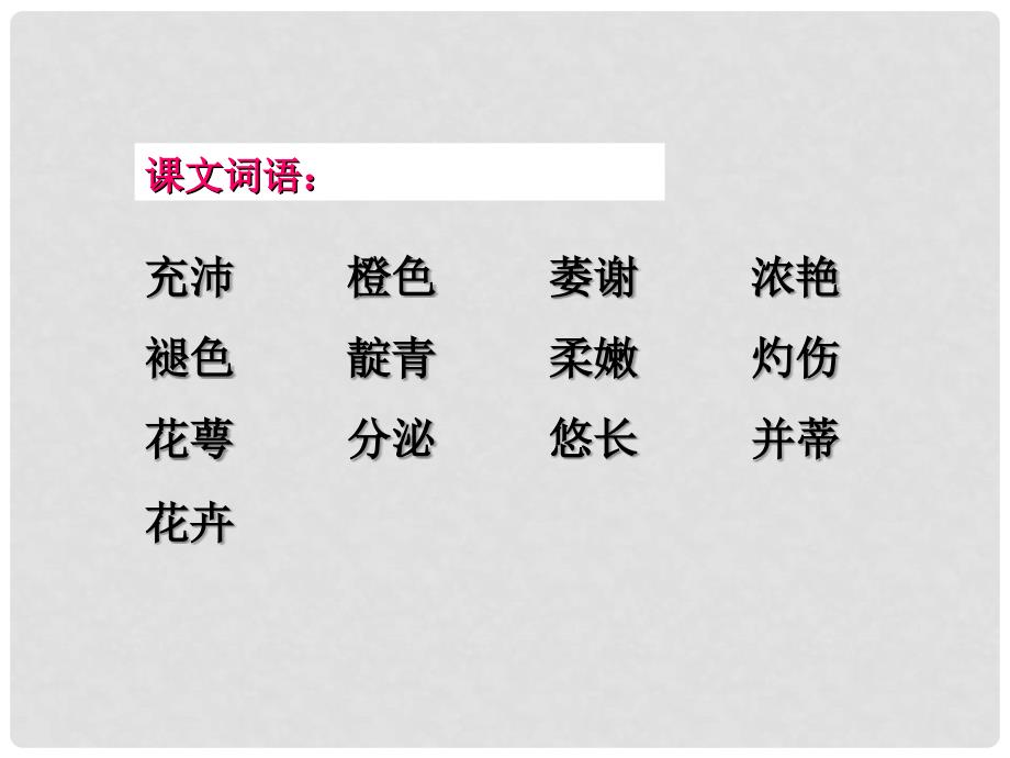 甘肃省张掖市第六中学八年级语文上册 花儿为什么这样红课件 北师大版_第3页