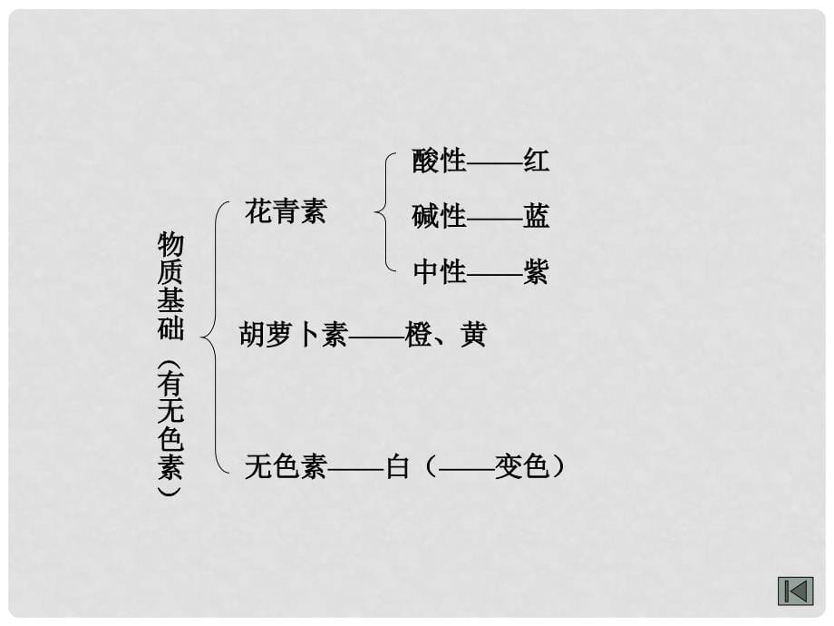 甘肃省张掖市第六中学八年级语文上册 花儿为什么这样红课件 北师大版_第5页