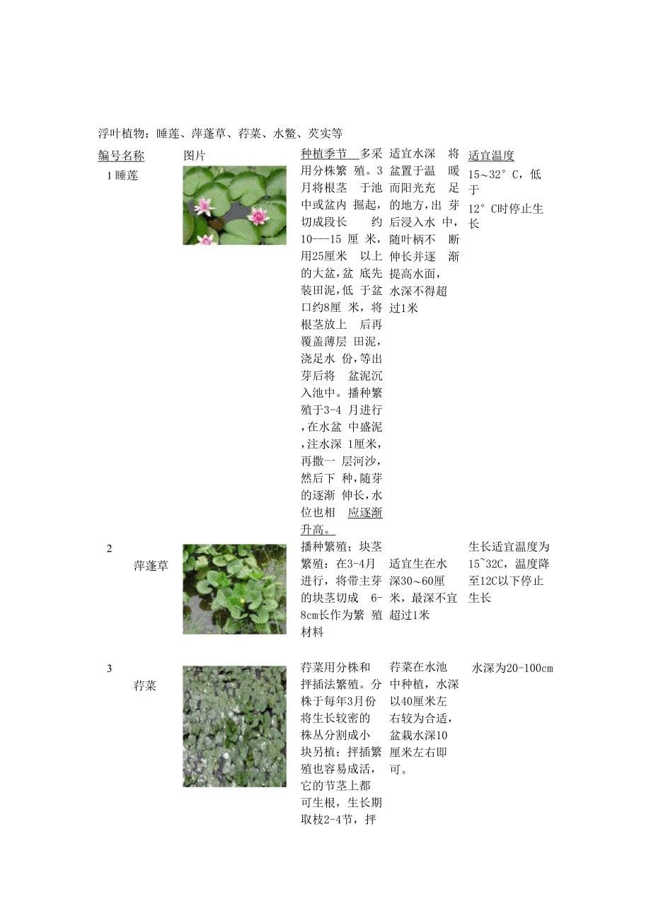 不同季节不同水深适合种植的水生植物选择_第5页